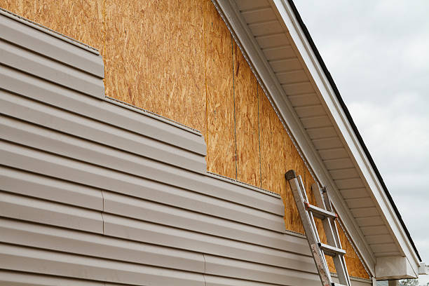 Professional Siding Repair technician working in Dalton, OH